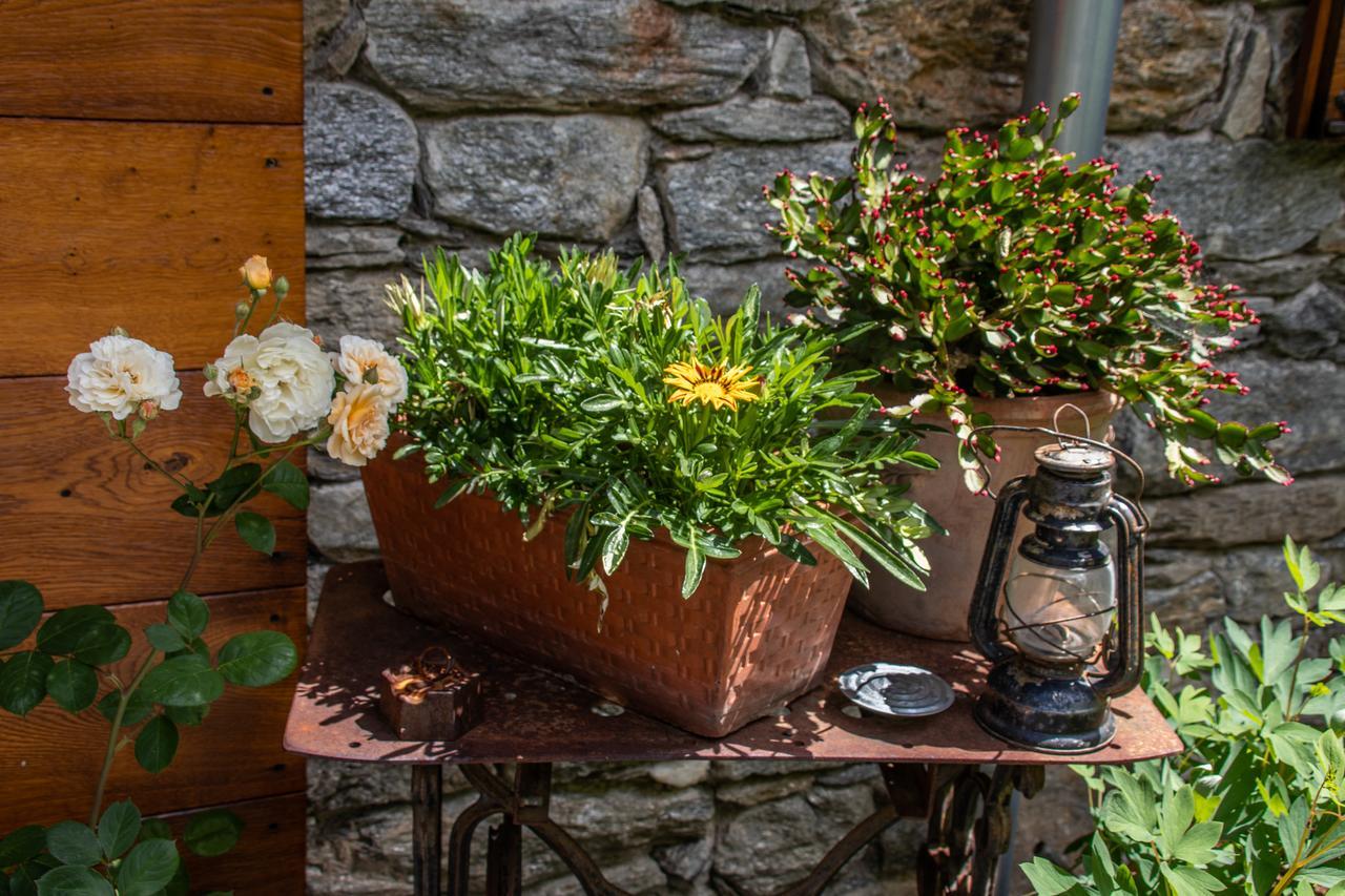 Agriturismo Treterre Pianello Del Lario Exteriér fotografie