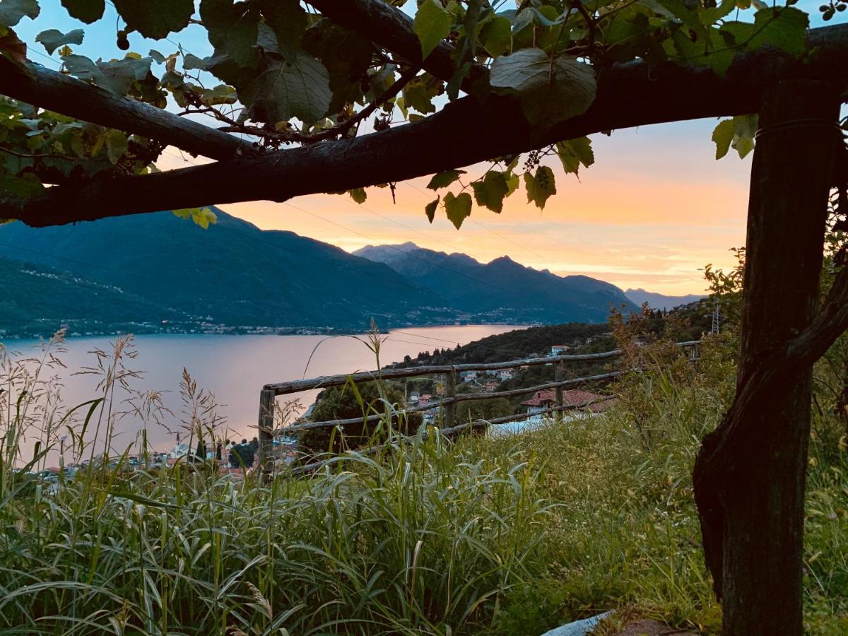 Agriturismo Treterre Pianello Del Lario Exteriér fotografie